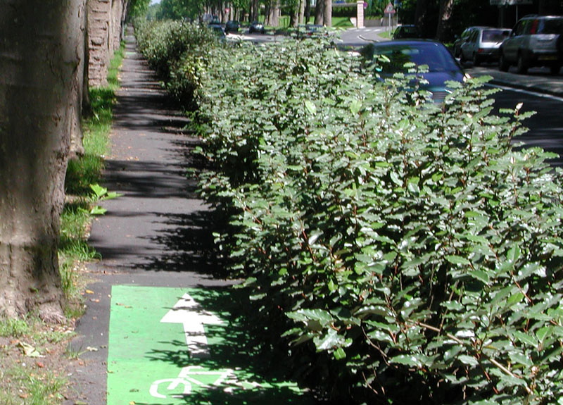 piste cyclable le chesnay